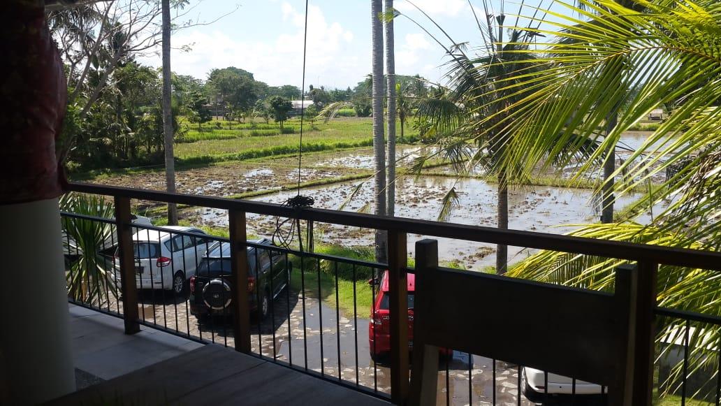 Villa dijual di Canggu Bali