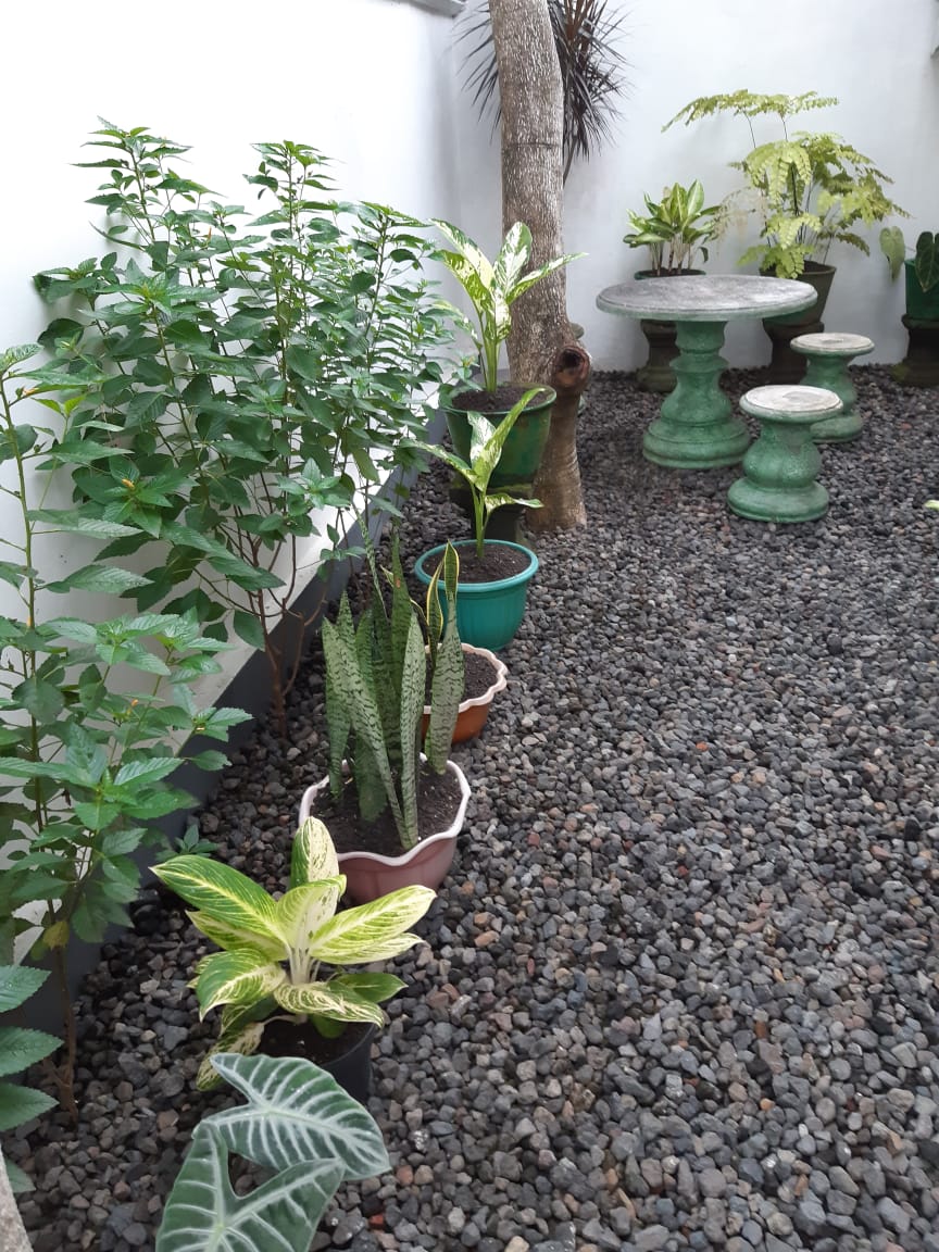 Rumah dijual di Tabanan