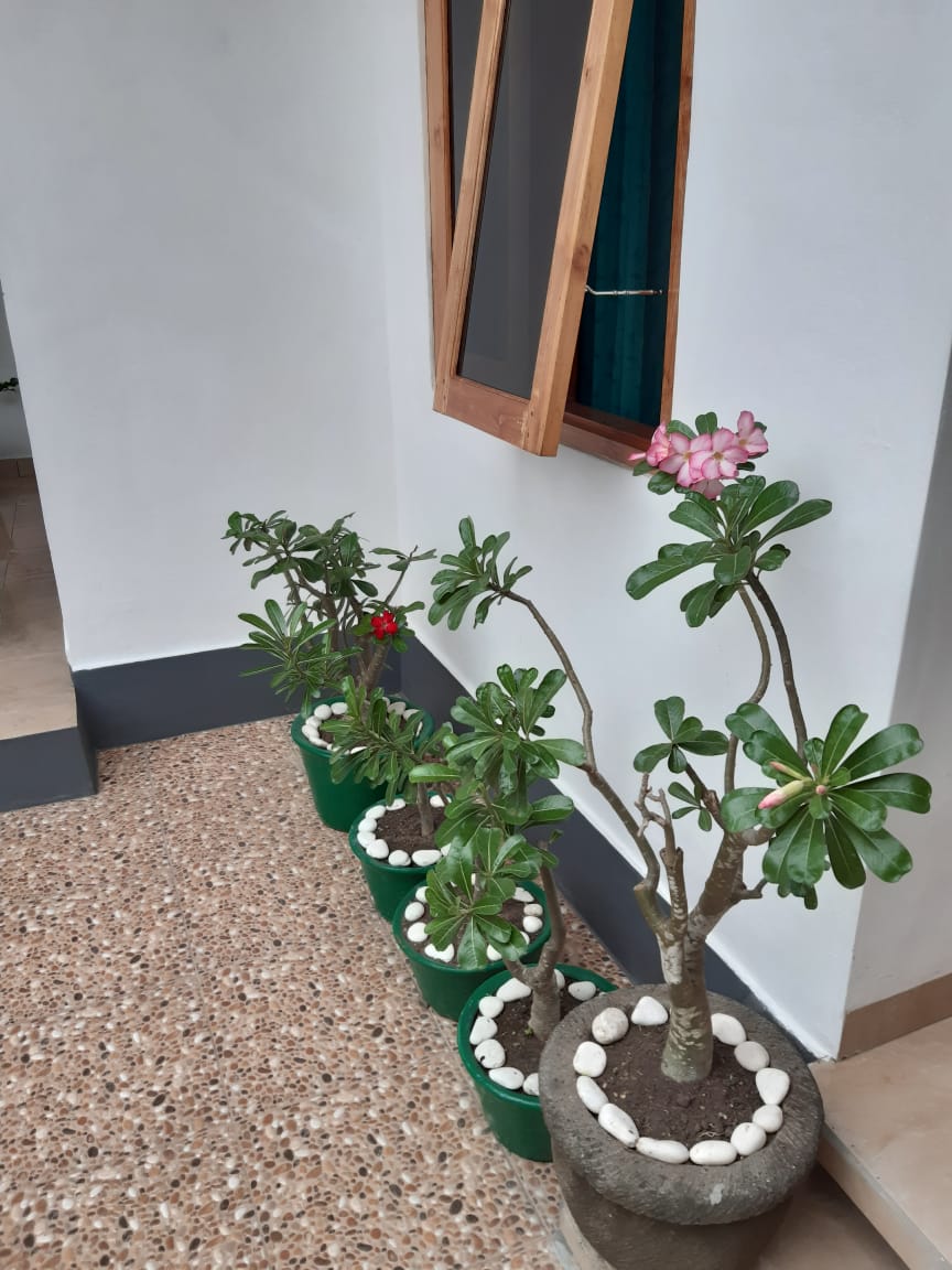 Rumah dijual di Tabanan