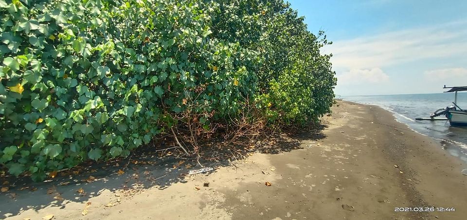 Tanah Los Pantai dijual di Buleleng