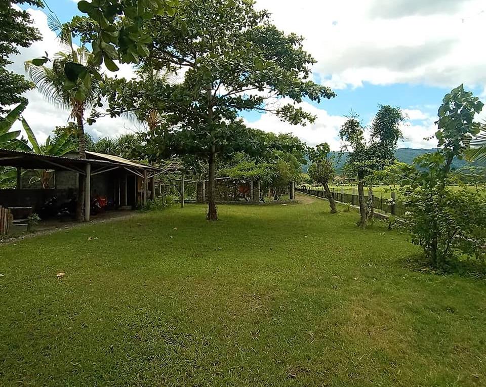 Tanah Los Pantai dijual di Lovina