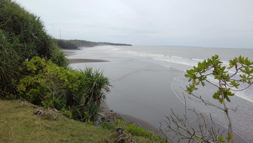 Tanah Los Pantai dijual di Tabanan