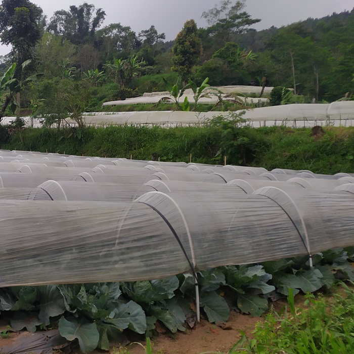 dijual tanah view kebun sayur di Bali