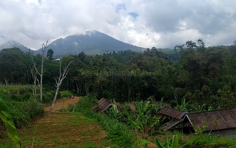 Tanah dijual di Baturiti
