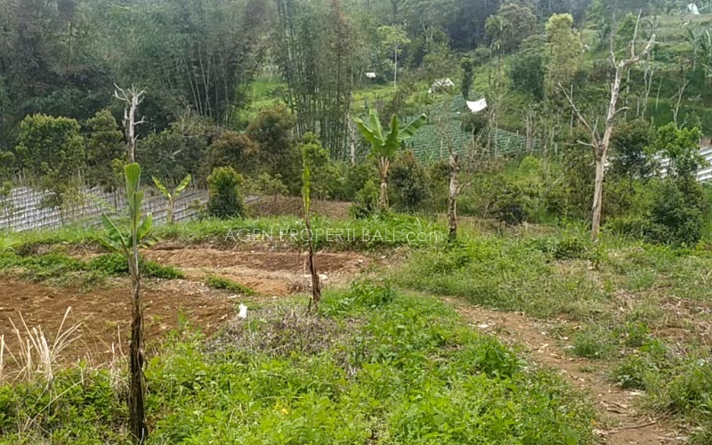 Tanah dijual di Baturiti