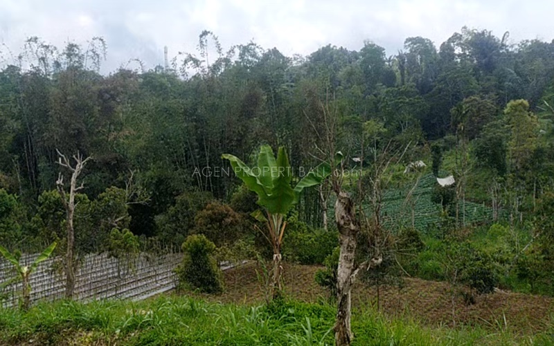 Tanah dijual di Baturiti