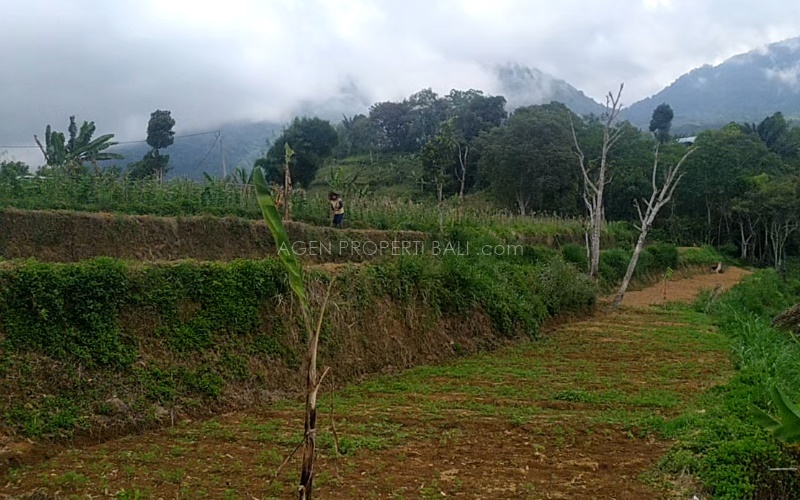 Tanah dijual di Baturiti