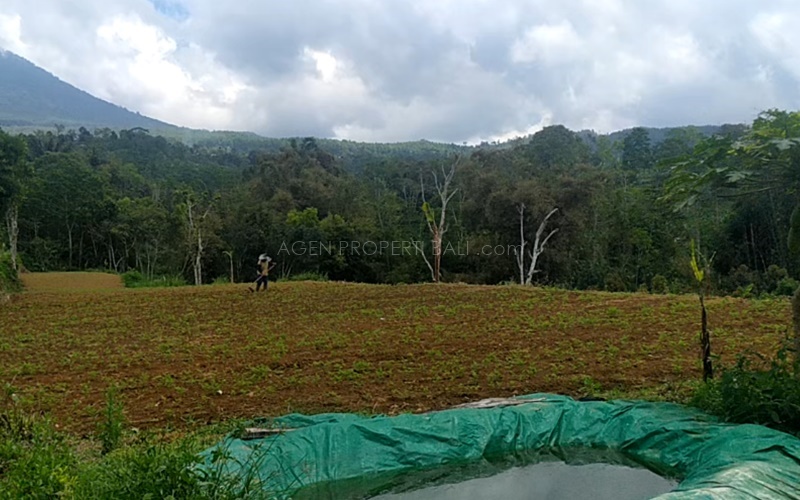 Tanah dijual di Baturiti