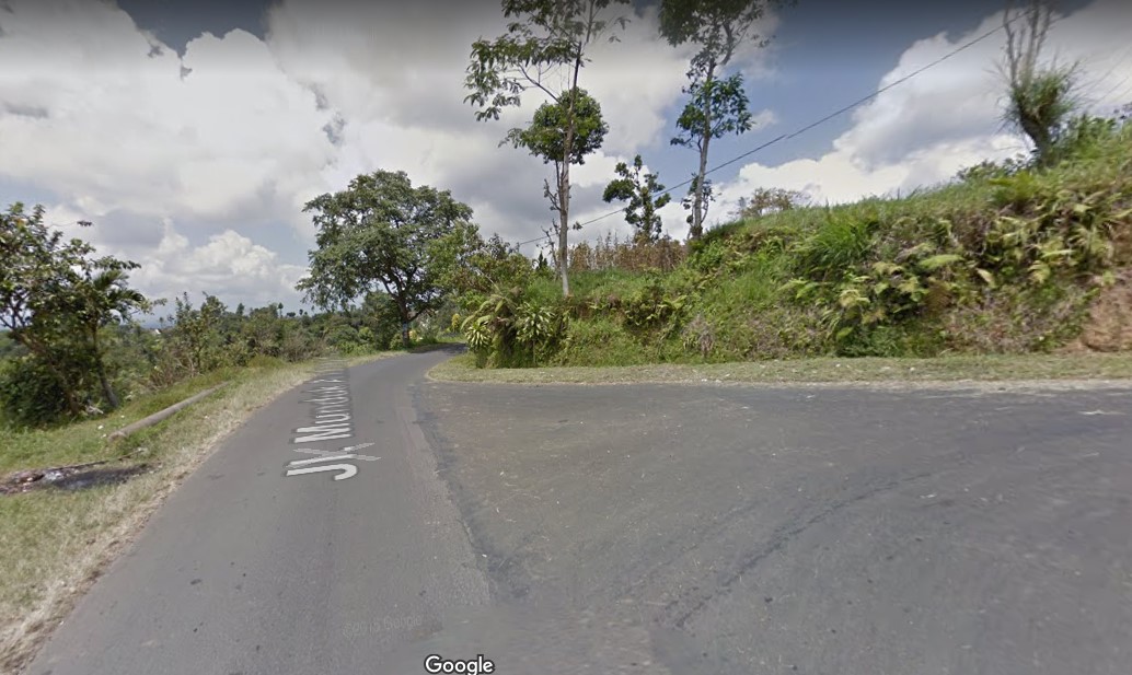 Tanah dijual di Bedugul