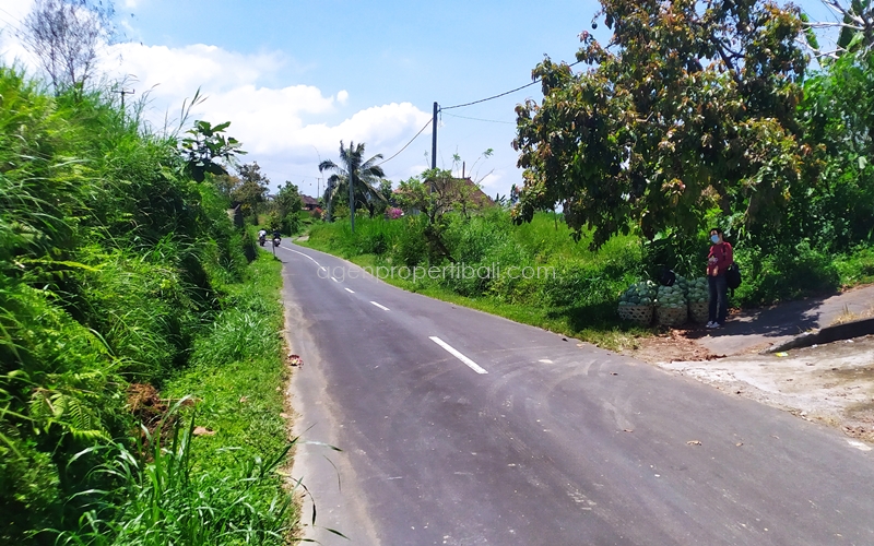 tanah dijual di Batunya Baturiti