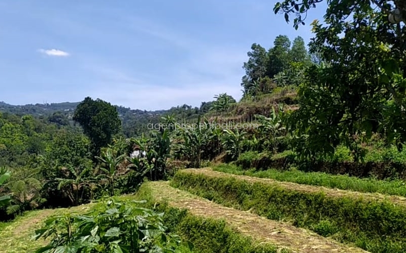 tanah dijual di Batunya Baturiti