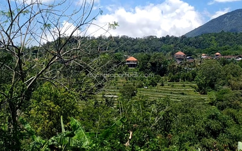 tanah dijual di Batunya Baturiti