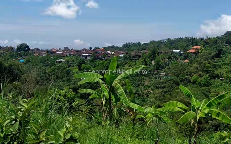 tanah dijual di Batunya Baturiti