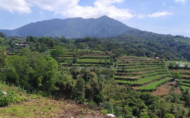 tanah dijual di Bedugul Baturiti