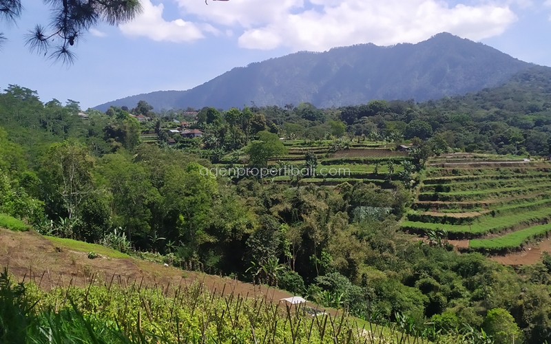 tanah dijual di Bedugul Baturiti