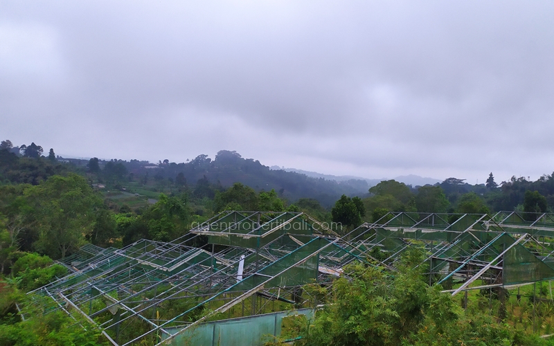 tanah dijual di Bedugul Baturiti