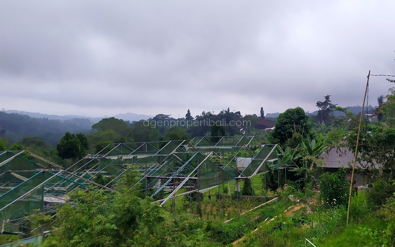tanah dijual di Bedugul Baturiti