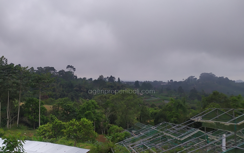 tanah dijual di Bedugul Baturiti