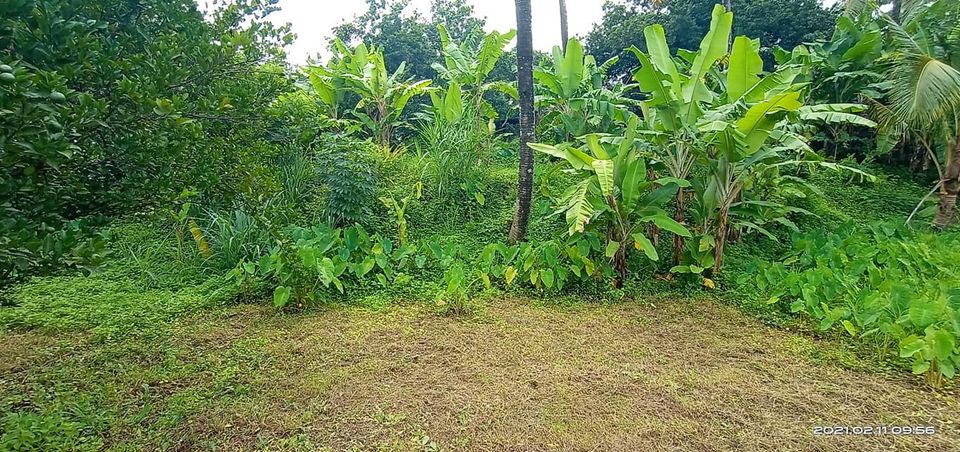 Tanah dijual di Buleleng