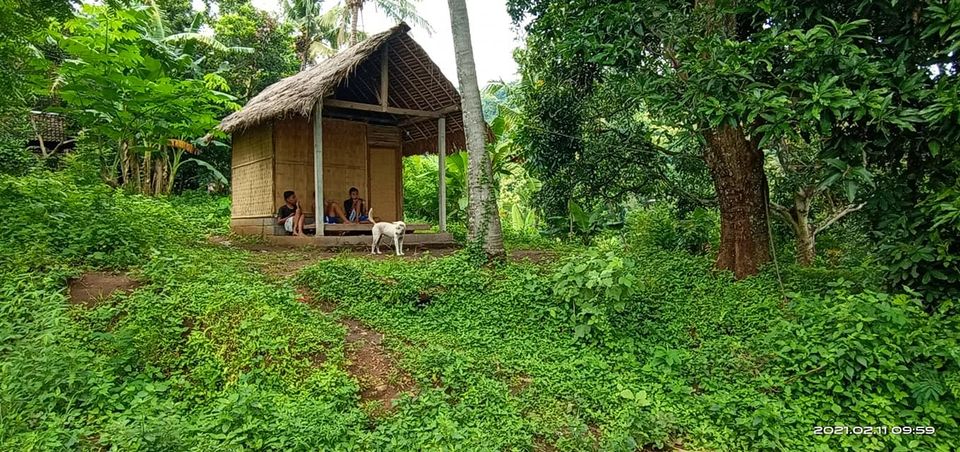 Tanah dijual di Buleleng