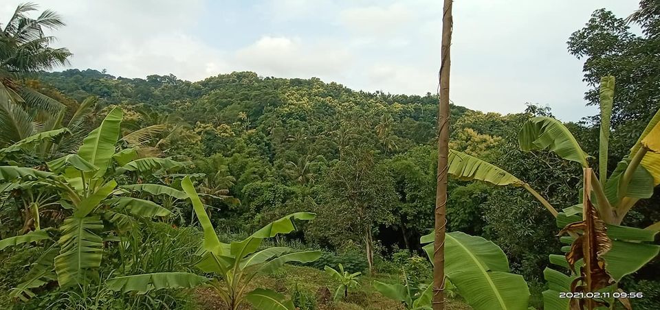 Tanah dijual di Buleleng