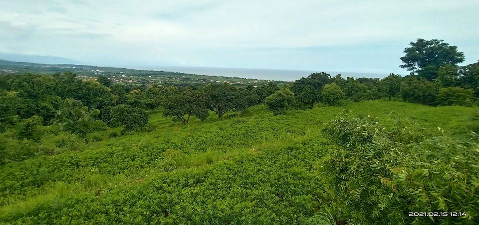 Tanah dijual di Buleleng