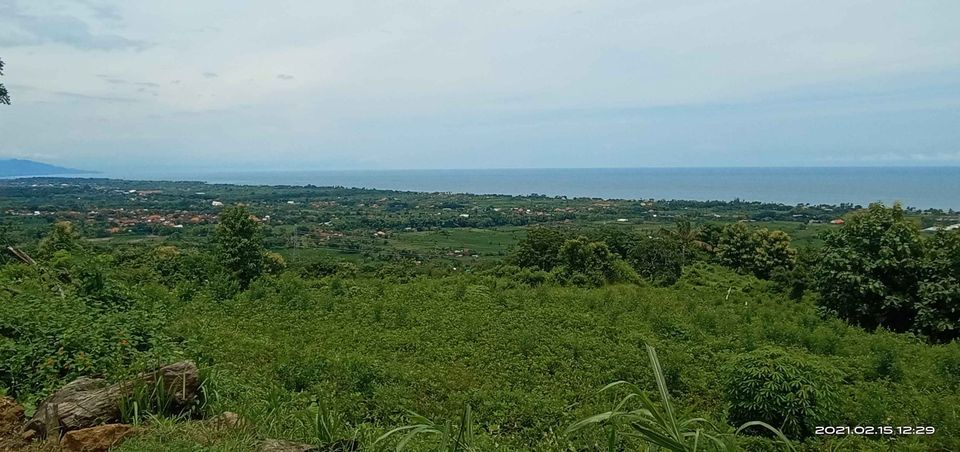 Tanah dijual di Buleleng