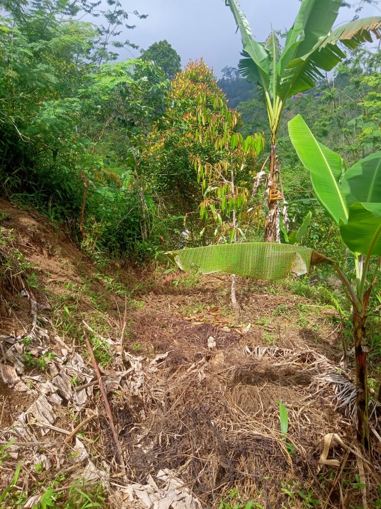 Tanah dijual di Buleleng