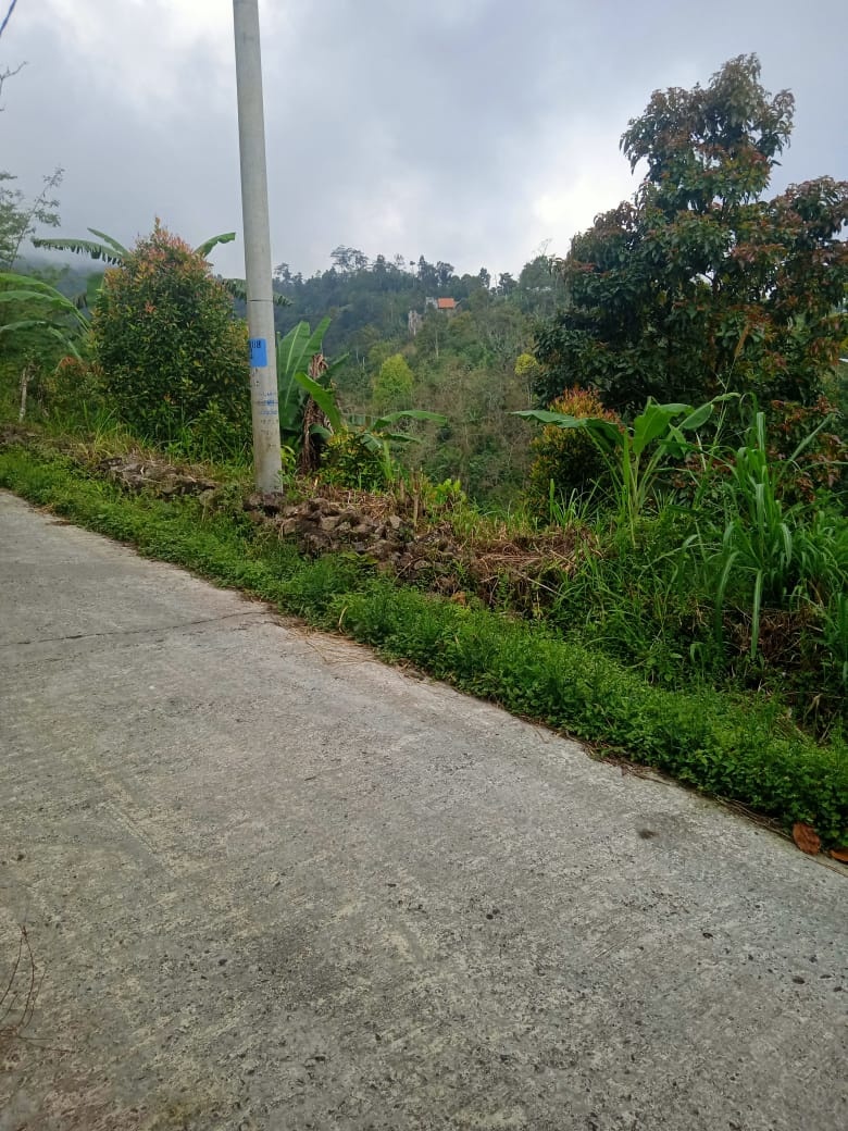 Tanah dijual di Buleleng