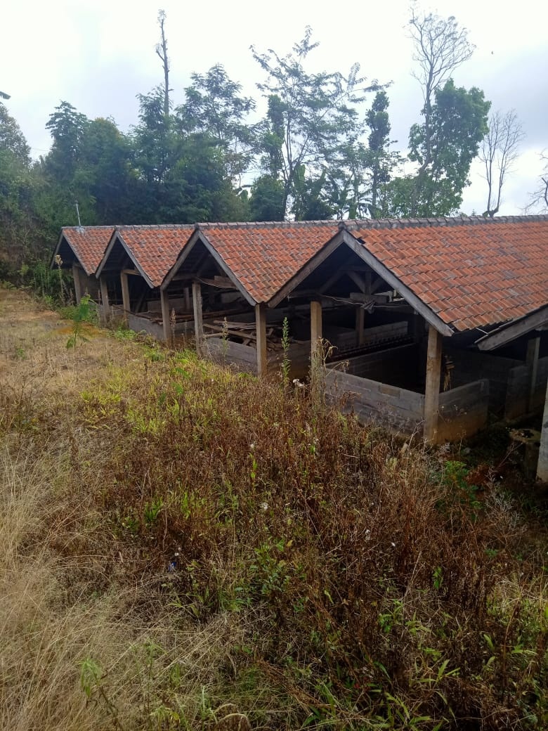 Tanah dijual di Buleleng