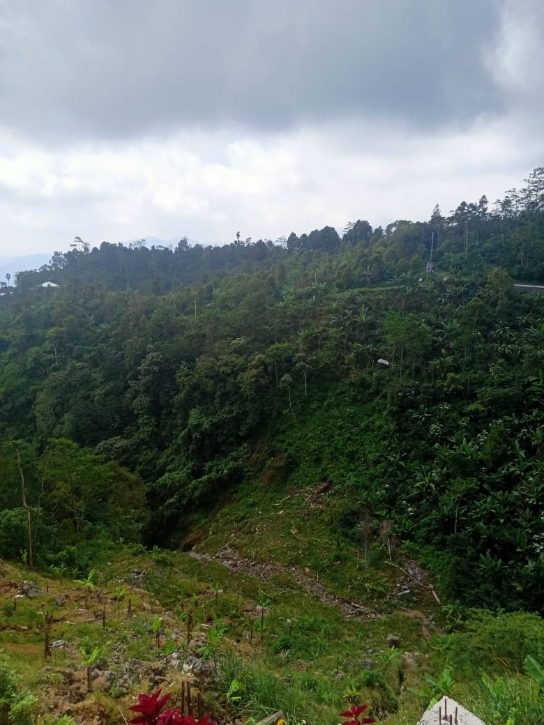 Tanah dijual di Buleleng