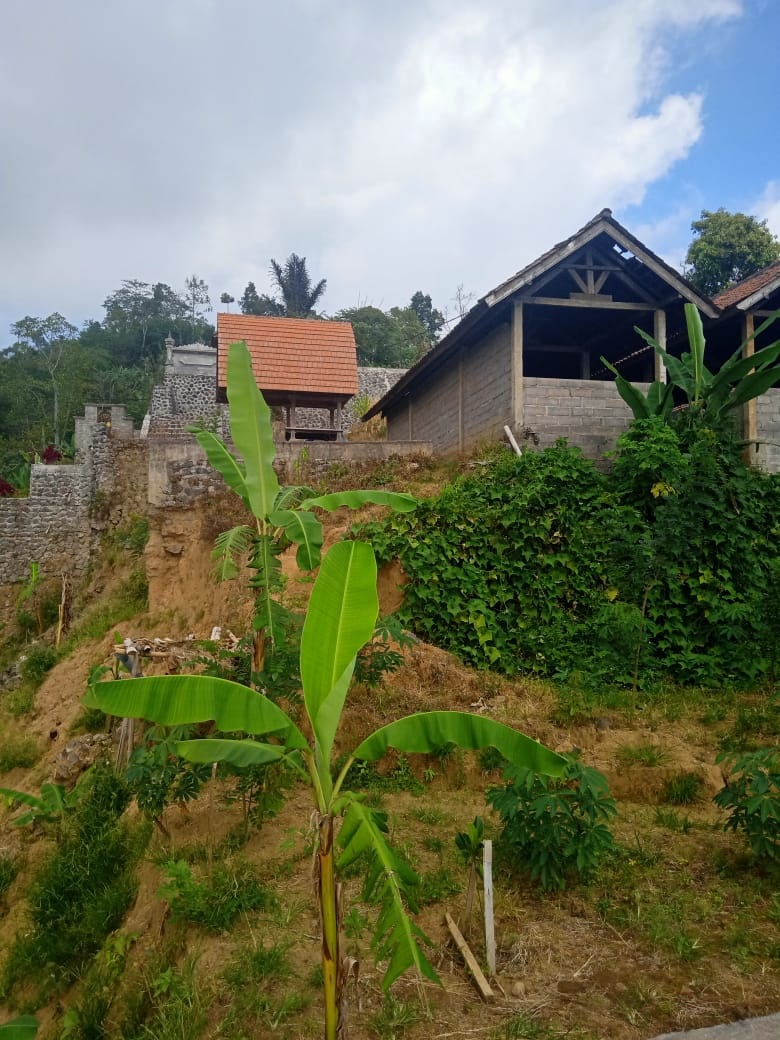 Tanah dijual di Buleleng