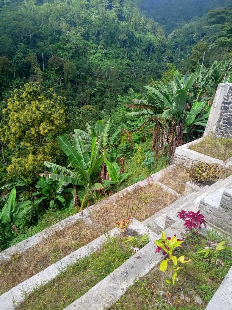 Tanah dijual di Buleleng