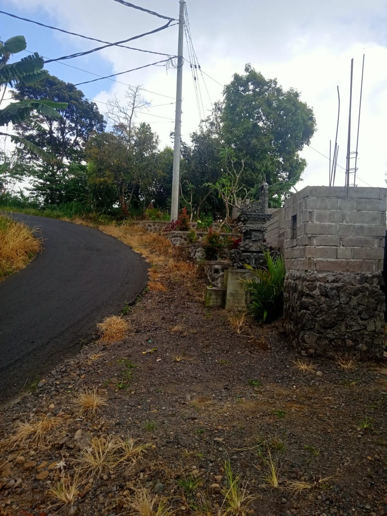 Tanah dijual di Buleleng