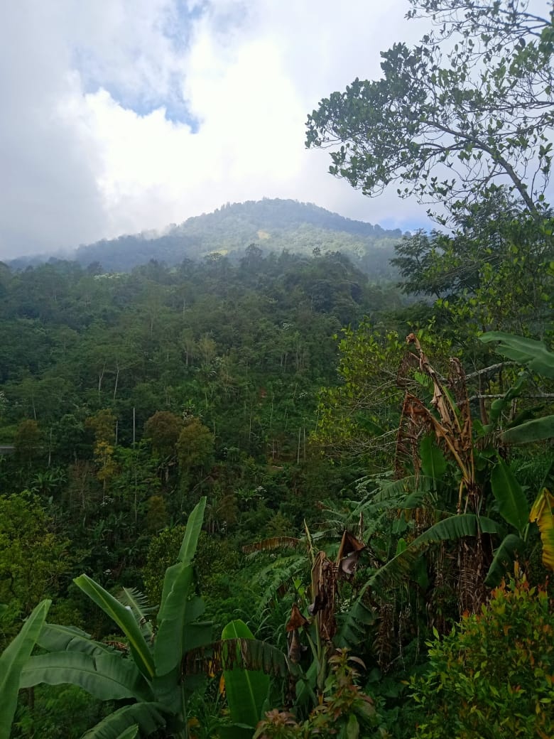 Tanah dijual di Buleleng