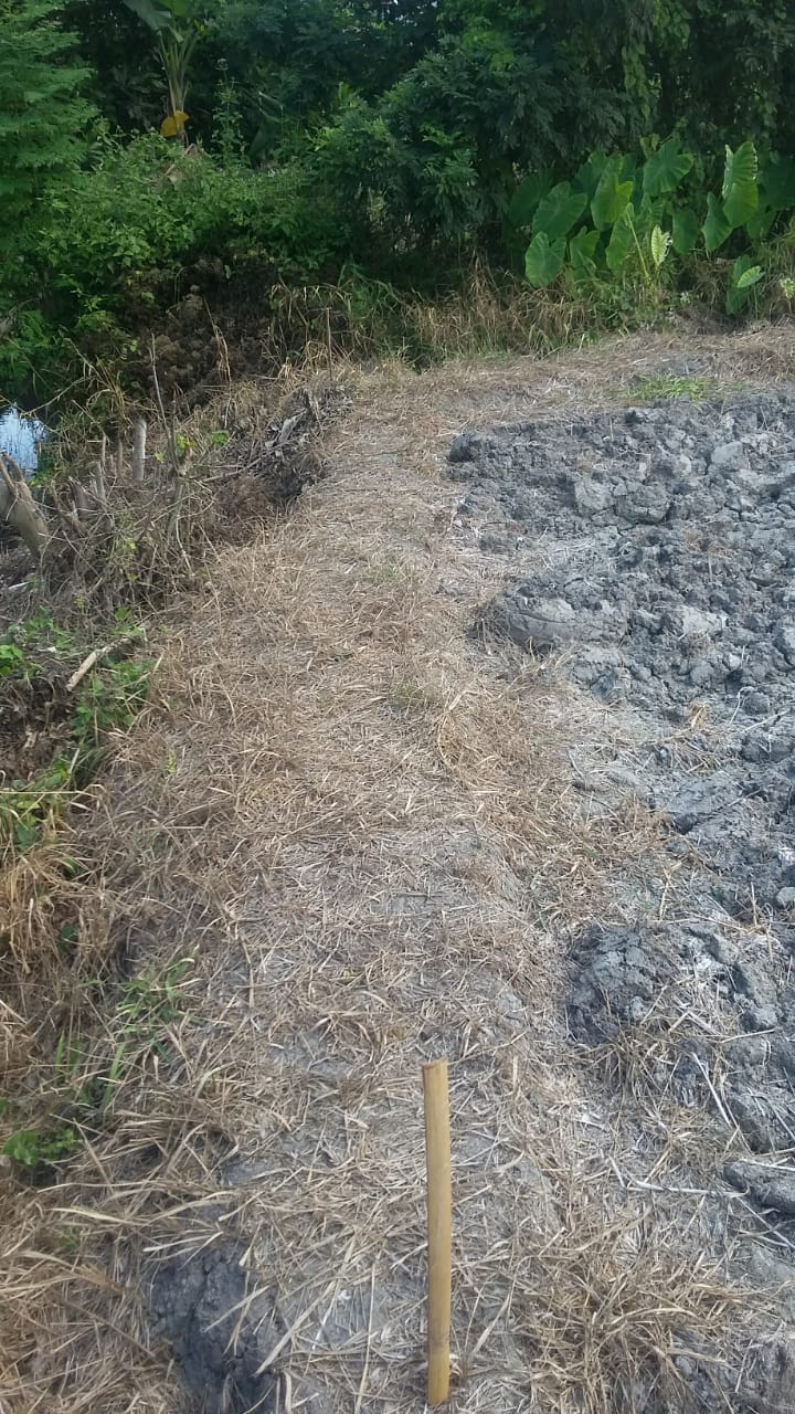 Tanah dijual di Denpasar