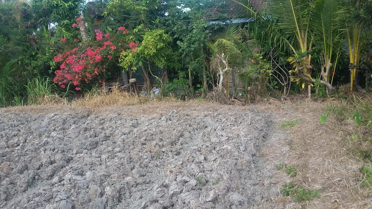 Tanah dijual di Denpasar