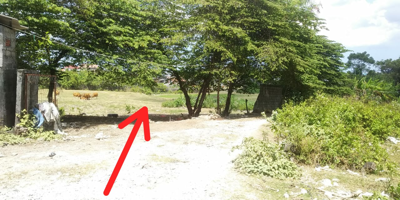 Tanah dijual di Denpasar
