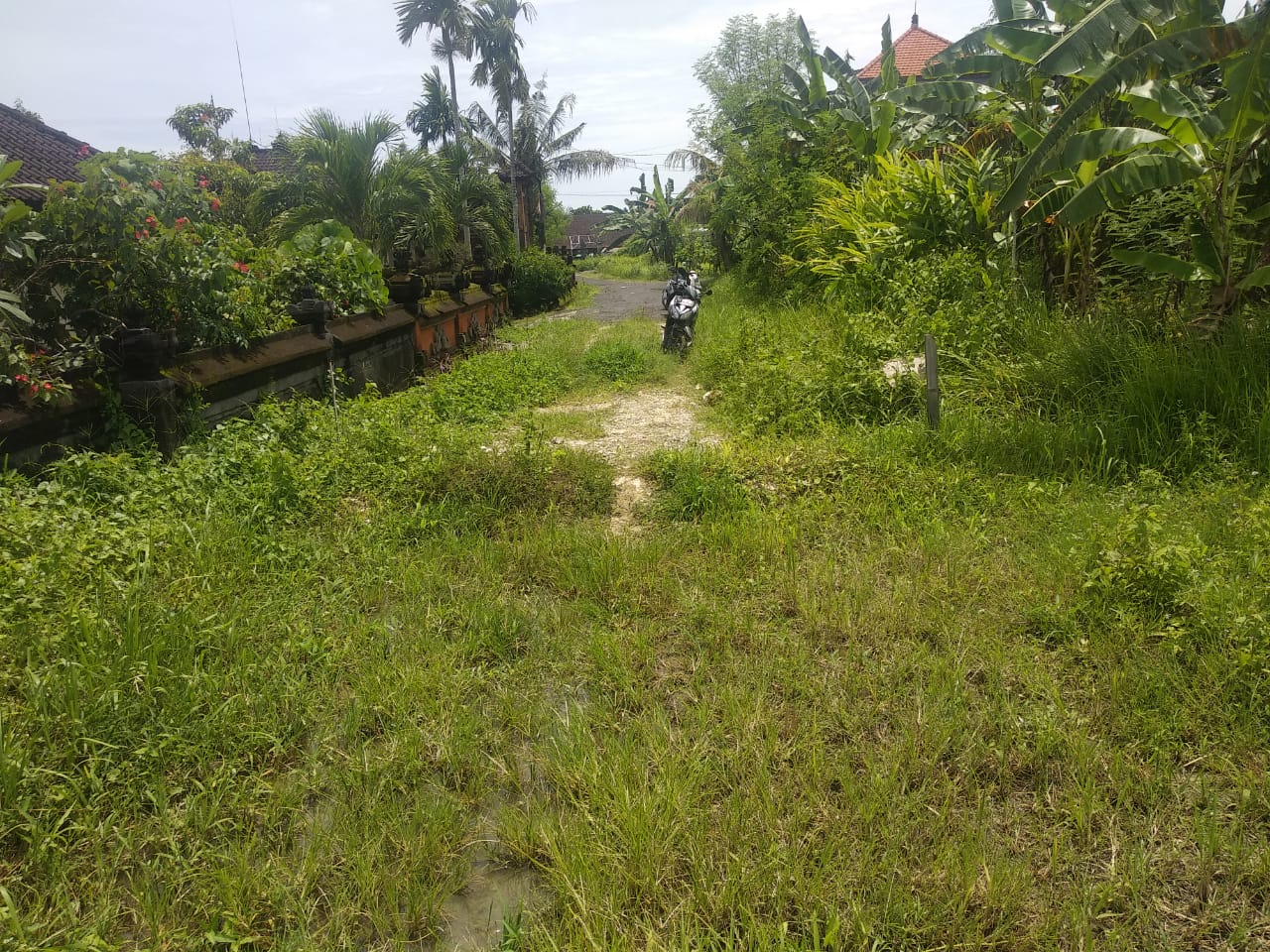 Tanah dijual di Denpasar