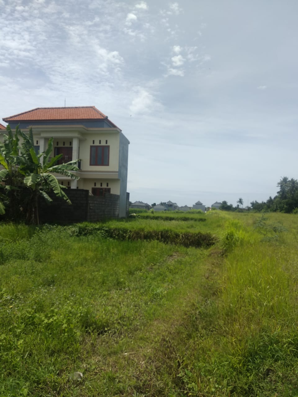 Tanah dijual di Denpasar