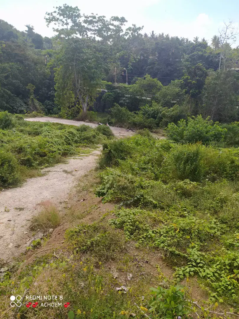 Tanah dijual di Denpasar