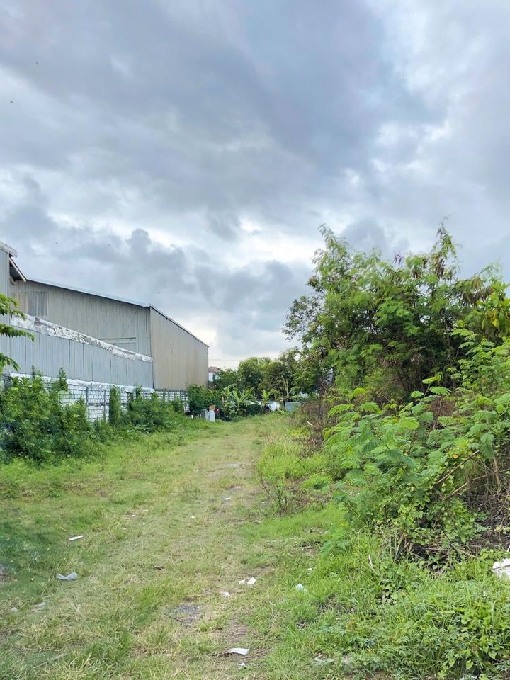 Tanah dijual di Denpasar