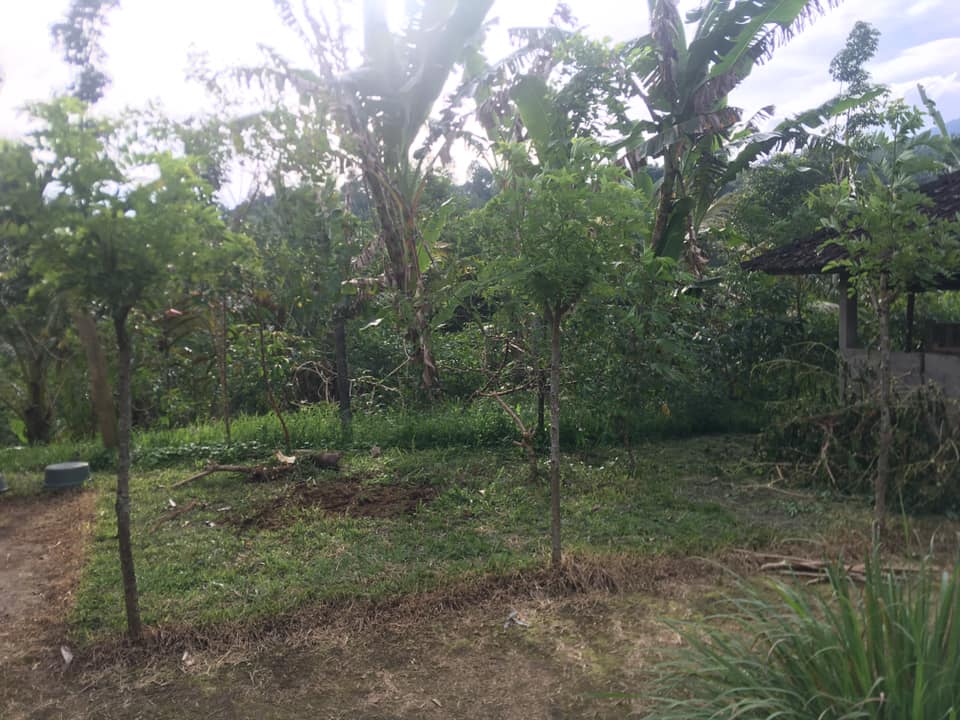 Tanah dijual di Jatiluwih