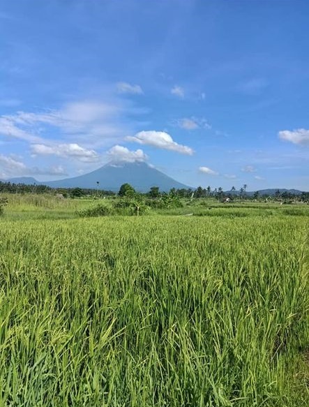 Tanah dijual di Karangasem