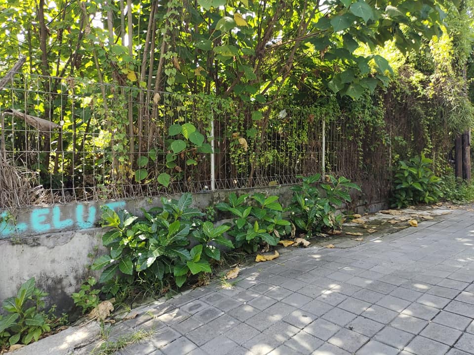 Tanah dijual di Kuta