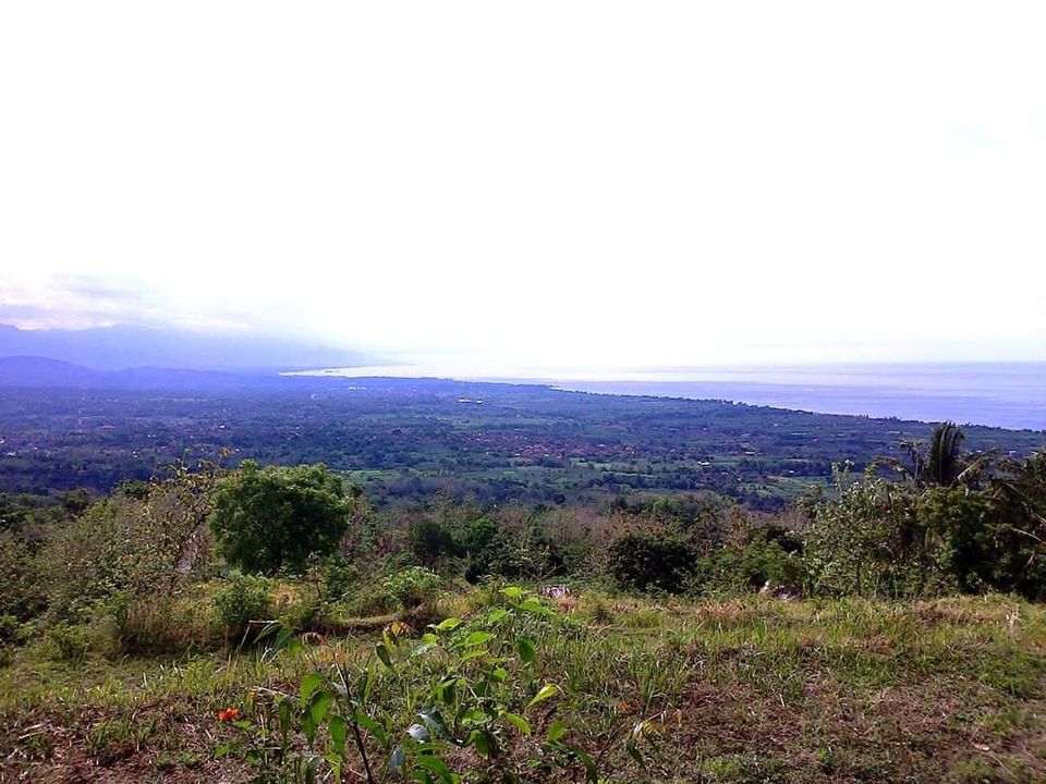 Tanah dijual di Lovina