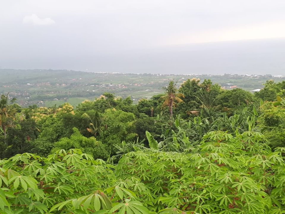 Tanah dijual di Lovina