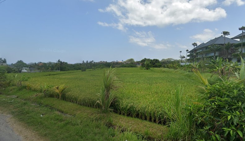 Tanah dijual di Pantai Lima