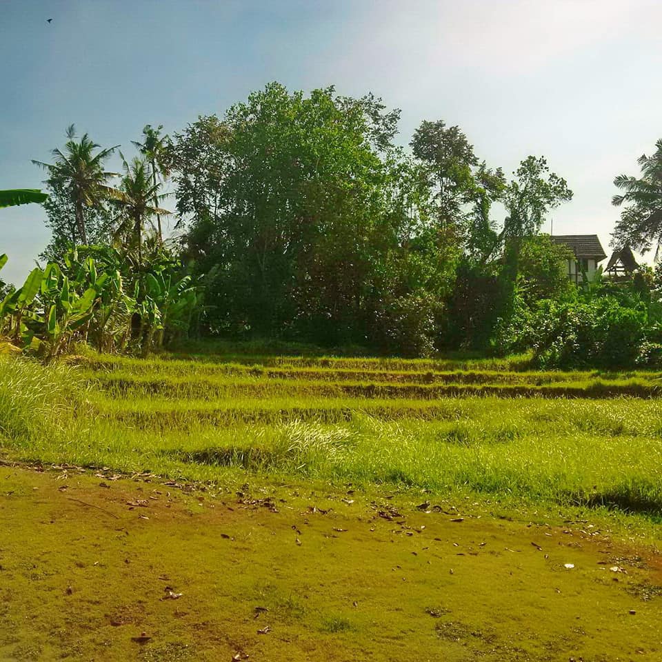 Tanah dijual di Pantai Nyanyi