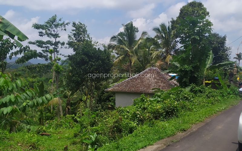 tanah dijual di Pupuan Tabanan